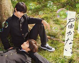 保护特雷斯海报剧照